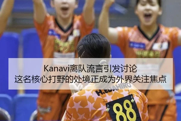 Kanavi离队流言引发讨论 这名核心打野的处境正成为外界关注焦点 - xingkong